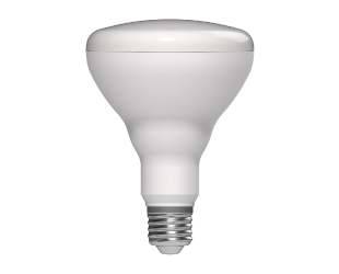 RAB LCB BR30 7.2W 650Lm E26 Base 65W Equivalent 90 CRI 2700K-6500K RGB (LCBBR30-7-E26-9RGB-SS)