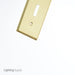 Leviton 1-Gang Toggle Device Switch Wall Plate Standard Size Polished Brass Device Mount (81001-PB)