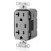 Leviton 20A Tamper-Resistant Receptacle USB Type-C/C Charger Gray (T5835-G)