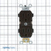 Leviton Brown Receptacle Duplex 2-Pole 3 Wire 15A 125V (5252)