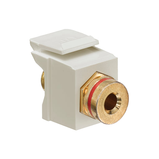 Leviton Banana Jack QuickPort Connector Gold-Plated Red Stripe Ivory Housing c (40837-BIR)
