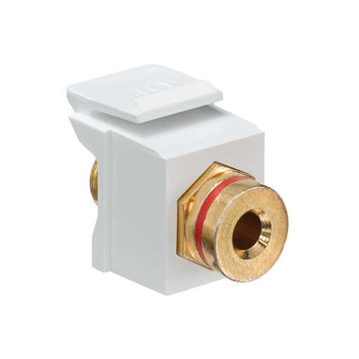 Leviton Banana Jack QuickPort Connector Gold-Plated Red Stripe White Housing c (40837-BWR)