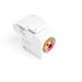 Leviton RCA 110-Termination QuickPort Connector Red Connector White Housing (40735-RRW)