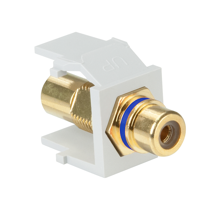 Leviton RCA Feedthrough QuickPort Connector Gold-Plated Blue Stripe White Housing (40830-BWL)