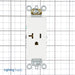 Leviton Decora Plus Single Receptacle Outlet Commercial Spec Grade Smooth Face 20 Amp 125V Back Or Side Wire NEMA 5-20R White (16351-W)