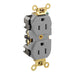 Leviton Duplex Receptacle Outlet Extra Heavy-Duty Industrial Spec Grade Smooth Face 15 Amp 125V Back Or Side Wire Gray (5262-GY)