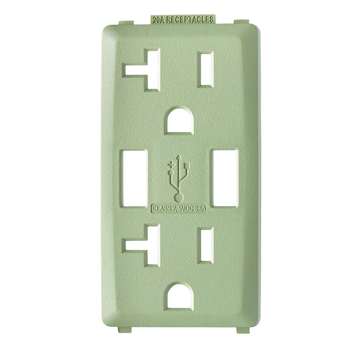 Leviton Renu Color Changing Kit For 20A USB AA Outlet Prairie Sage (RKAA2-PS)