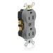Leviton Duplex Receptacle Outlet Commercial Spec Grade Tamper-Resistant Smooth Face 15 Amp 125V Back Or Side Wire Gray (TBR15-GY)