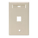 Leviton 1-Gang QuickPort Wall Plate With ID Window 1-Port Ivory (42080-1IS)