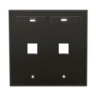 Leviton Dual-Gang QuickPort Wall Plate With ID Windows 2-Port Black (42080-2EP)