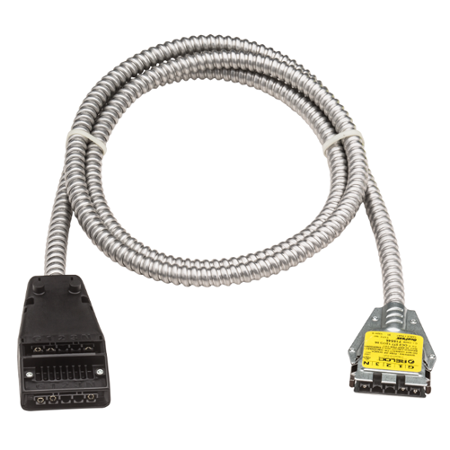 Lithonia Onepass Cable 2-Port 277V 10 AWG 2 Conductor And 1 Ground 25 Foot (OC2 277 10/2G 25 M4)