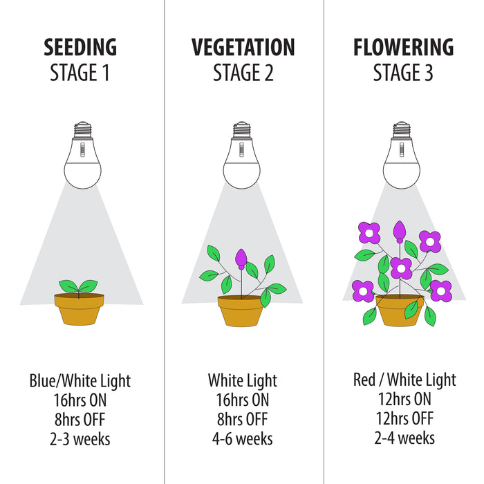 Feit Electric 9W Multi Spectrum A19 E26 Base Replacement Adjustable LED Grow Light Bulb (A19/ADJ/GRW/LED/HDRP)