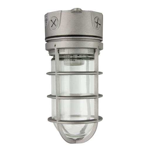 Maxlite 101443 Jelly Jar Ceiling Mounted 120V E26 Socket Wet Silver With 9W A19 SBLED Lamp 3000K (JJC12001)