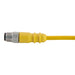Remke Dual Key Micro-Link Plug Assembly PVC Male 4-Pole 1.5 Foot 22 AWG (204E0015T)
