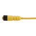 Remke Dual Key Micro-Link Plug Assembly PVC Braided Female 3-Pole 4 Foot 22 AWG (203A0040G)