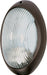 SATCO/NUVO 1-Light 11 Inch Large Oval Bulk Head Die Cast Bulk Head (60-527)