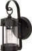 SATCO/NUVO 1-Light 11 Inch Wall Lantern Piper Lantern With Clear Seed Glass (60-635)
