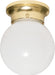 SATCO/NUVO 1-Light 8 Inch Ceiling Fixture White Ball (SF77-109)