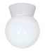 SATCO/NUVO 1-Light 8 Inch Utility Wall Mount With White Glass Globe (SF77-140)