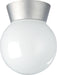 SATCO/NUVO 1-Light 8 Inch Utility Ceiling Mount With White Glass Globe (SF77-152)