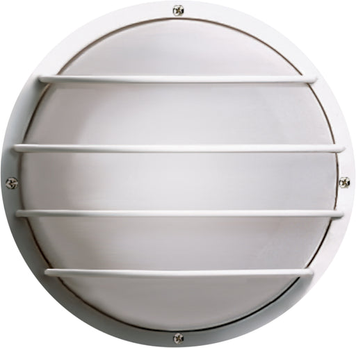 SATCO/NUVO 1-Light 10 Inch Round Cage Wall Fixture Polysynthetic Body And Lens (SF77-861)
