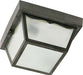 SATCO/NUVO 2-Light 10 Inch Carport Flush Mount With Frosted Acrylic Panels (SF77-891)