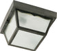 SATCO/NUVO 2-Light 10 Inch Carport Flush Mount With Frosted Acrylic Panels (SF77-891)