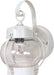 SATCO/NUVO 1-Light 10-5/8 Inch Wall Lantern Onion Lantern With Clear Seed Glass Color Retail Packaging (60-3457)