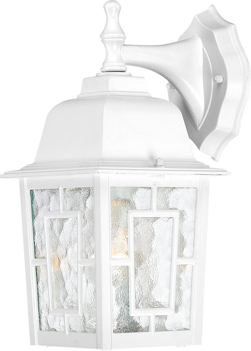 SATCO/NUVO Banyan 1-Light 12 Inch Outdoor Wall With Clear Water Glass (60-4921)