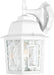 SATCO/NUVO Banyan 1-Light 12 Inch Outdoor Wall With Clear Water Glass (60-4921)