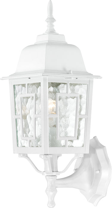SATCO/NUVO Banyan 1-Light 17 Inch Outdoor Wall With Clear Water Glass Color Retail Packaging (60-3487)