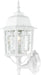 SATCO/NUVO Banyan 1-Light 17 Inch Outdoor Wall With Clear Water Glass Color Retail Packaging (60-3487)