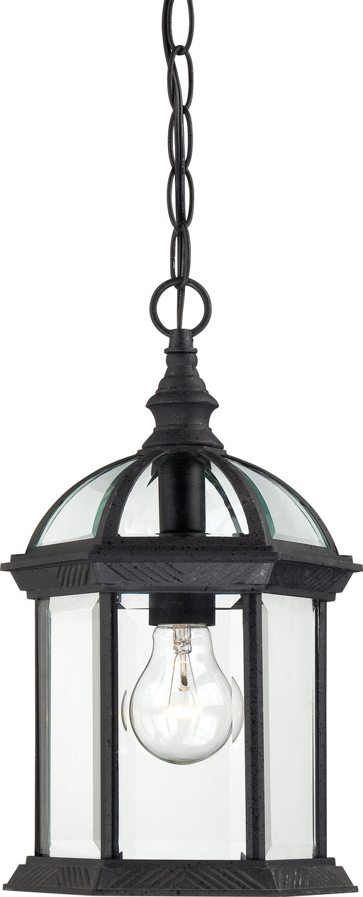 SATCO/NUVO Boxwood 1-Light 14 Inch Outdoor Hanging With Clear Beveled Glass (60-4979)