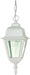 SATCO/NUVO Briton 1-Light 10 Inch Hanging Lantern With Clear Glass (60-487)