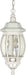 SATCO/NUVO Central Park 3-Light 20 Inch Hanging Lantern With Clear Beveled Glass (60-894)