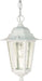 SATCO/NUVO Cornerstone 1-Light 13 Inch Hanging Lantern With Clear Seed Glass (60-991)