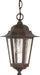 SATCO/NUVO Cornerstone 1-Light 13 Inch Hanging Lantern With Clear Seed Glass (60-992)