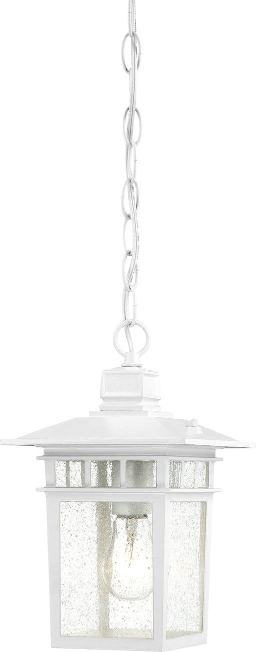 SATCO/NUVO Cove Neck 1-Light 12 Inch Outdoor Hang With Clear Seed Glass (60-4954)