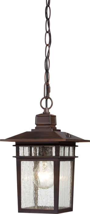 SATCO/NUVO Cove Neck 1-Light 12 Inch Outdoor Hang With Clear Seed Glass (60-4955)