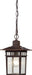SATCO/NUVO Cove Neck 1-Light 12 Inch Outdoor Hang With Clear Seed Glass (60-4955)