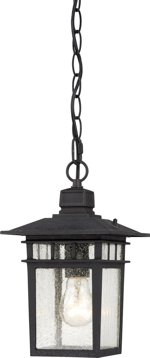 SATCO/NUVO Cove Neck 1-Light 12 Inch Outdoor Hang With Clear Seed Glass (60-4956)