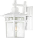 SATCO/NUVO Cove Neck 1-Light 12 Inch Outdoor Lantern With Clear Seed Glass (60-4951)