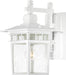 SATCO/NUVO Cove Neck 1-Light 14 Inch Outdoor Lantern With Clear Seed Glass (60-4957)
