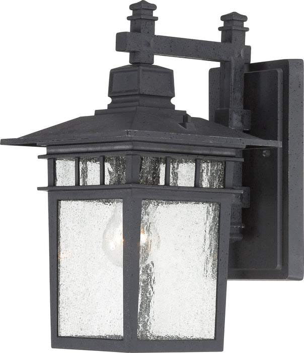 SATCO/NUVO Cove Neck 1-Light 14 Inch Outdoor Lantern With Clear Seed Glass (60-4959)