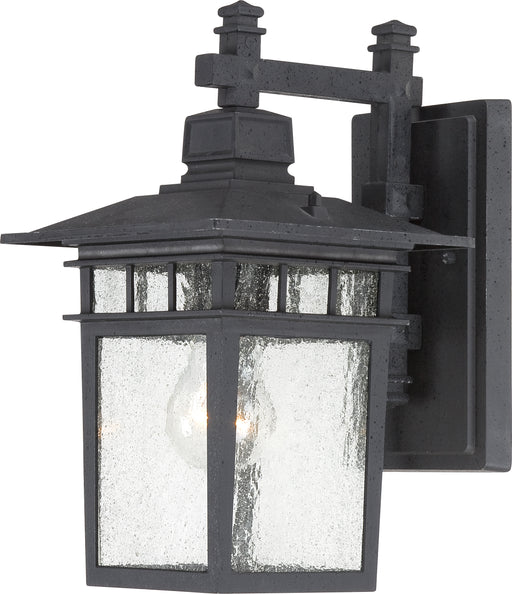 SATCO/NUVO Cove Neck 1-Light 12 Inch Outdoor Lantern With Clear Seed Glass Color Retail Packaging (60-3493)