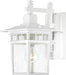SATCO/NUVO Cove Neck 1-Light 12 Inch Outdoor Lantern With Clear Seed Glass Color Retail Packaging (60-3491)