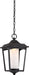 SATCO/NUVO Essex Hanging Lantern Sterling Black Finish (62-824)