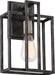 SATCO/NUVO Lake 1-Light Wall Sconce Iron Black With Brushed Nickel Accents Finish (60-5856)