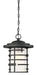 SATCO/NUVO Lansing 1-Light Outdoor Hanging Lantern With Etched Glass (60-6405)