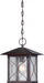 SATCO/NUVO Vega 1-Light Outdoor Hanging Fixture With Clear Seed Glass (60-5614)